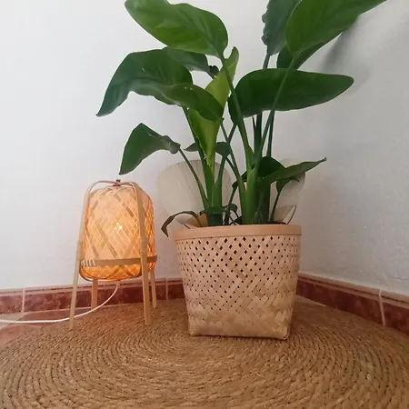 アパート La Garatera Te Espera En Jerez *